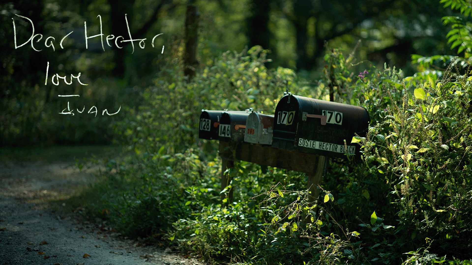 Rustic mailboxes amidst lush greenery, text reads "Dear Hector, love Ivan"