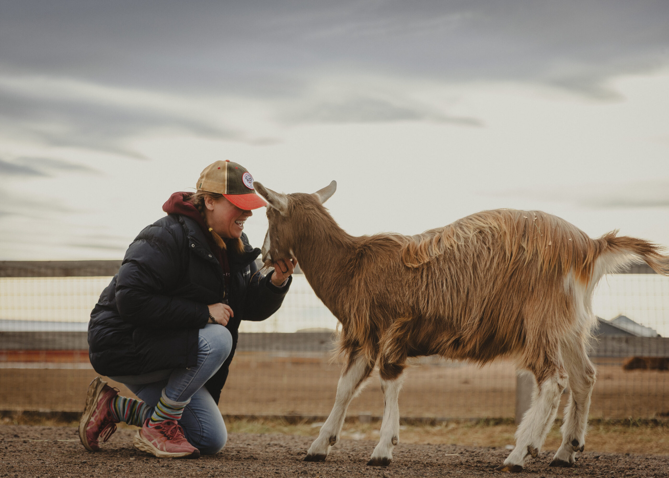 A person in a cap interacts playfully with a goat outdoors